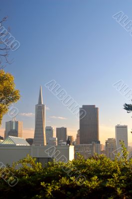 San Francisco Skyline