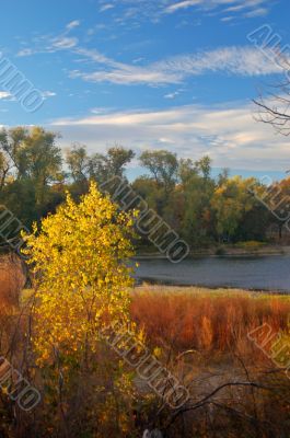 Fall colors