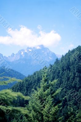 Pacific Northwest Mountains