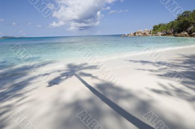 Pristine tropical beach