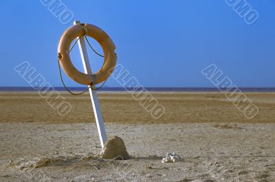 life buoy