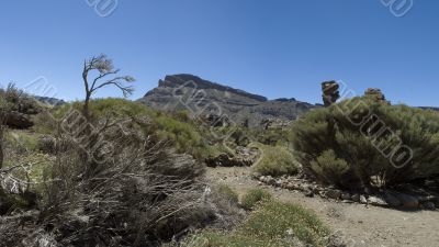 Roques de Garcia