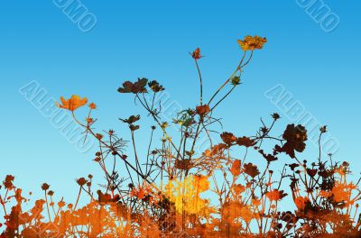 flower textures
