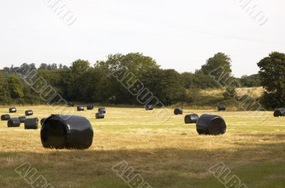 Hay Bales