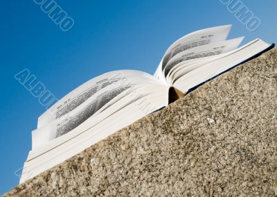 Holy Bible