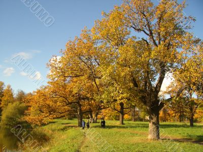 Autumn