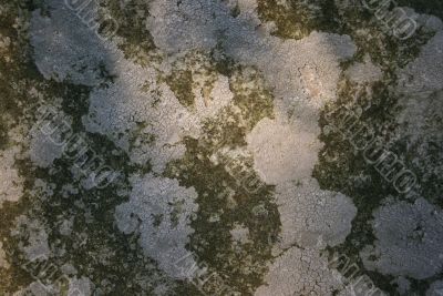 Stone texture