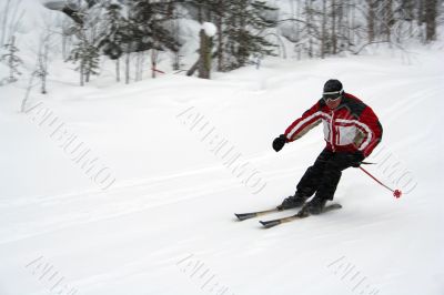 Skier