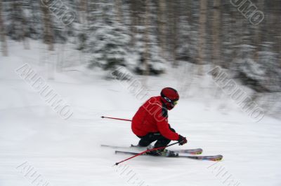 Skier