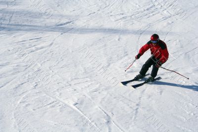 Skier