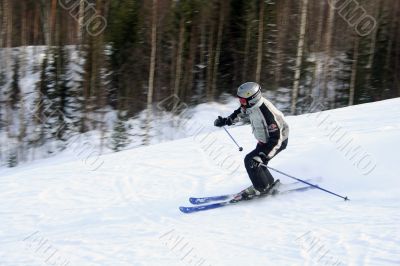 Skier