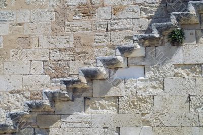 Aigues-Mortes 3