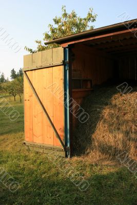 Summer hay