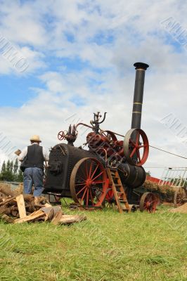 Vintage harvest