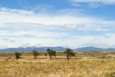 Almudevar-Huesca