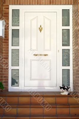 Almudevar - Door and cat