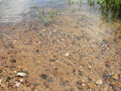 Stones at the bottom of the river