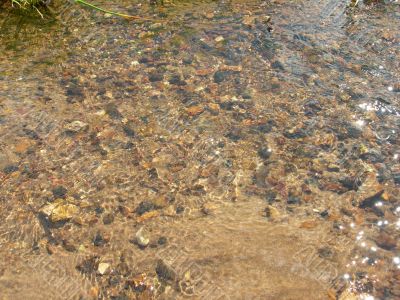 stones at the bottom of the river