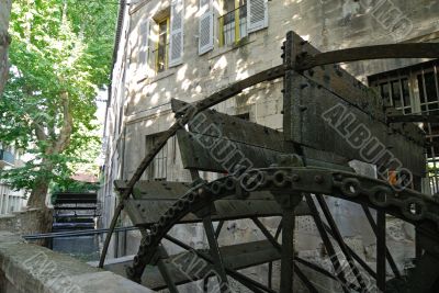 Avignon