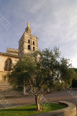 Avignon 6