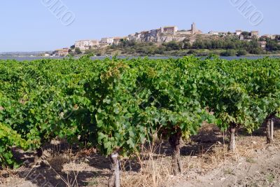 Bages 3