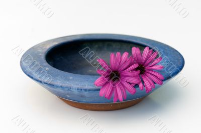 Bowl and flowers