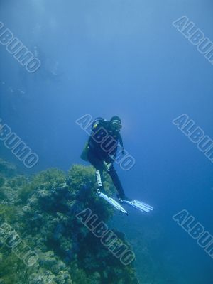 Scuba diver