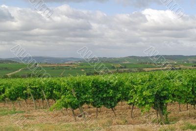 Carcassonne-Limoux 3