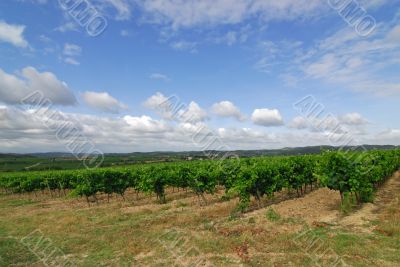 Carcassonne-Limoux 4