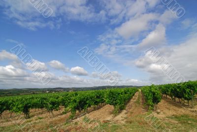 Carcassonne-Limoux 5