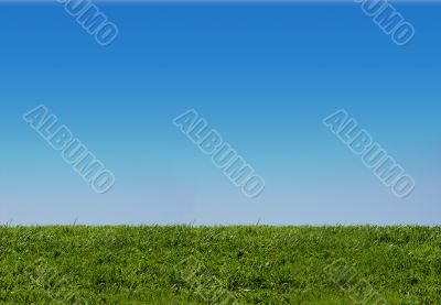 Background of sky and grass