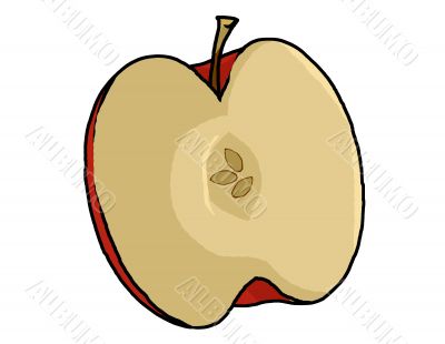 Apple half Illustration