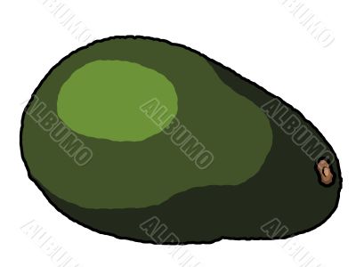 avocado illustration