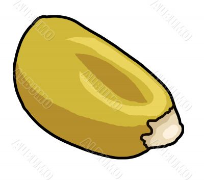 corn