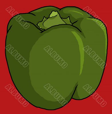 green bell pepper illustration