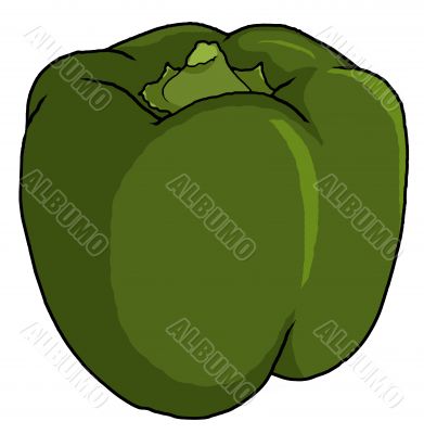 green bell pepper illustration