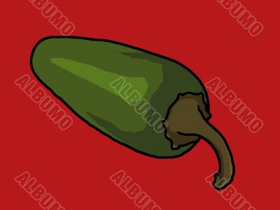 jalapeno pepper illustration