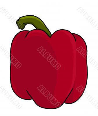 red bell pepper illustration