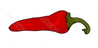 red chili pepper illustration