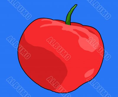 Tomato Illustration
