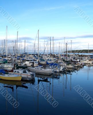 boats at the marina
