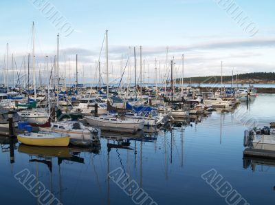 boats at the marina
