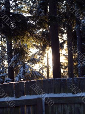 snowy sunrise