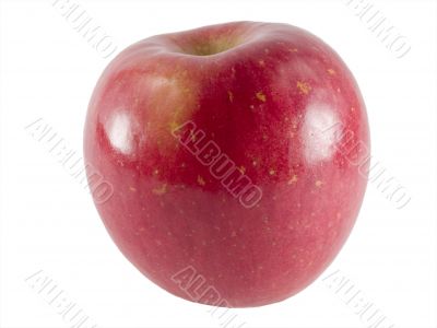 fuji apple
