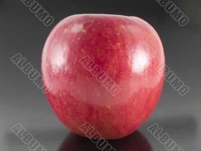 fuji apple