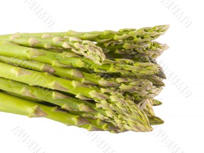 Asparagus Shoots