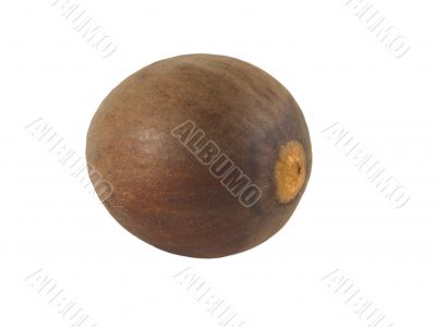avocado pit