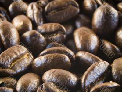 coffee beans