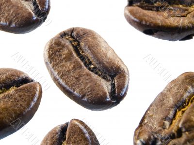 coffee beans