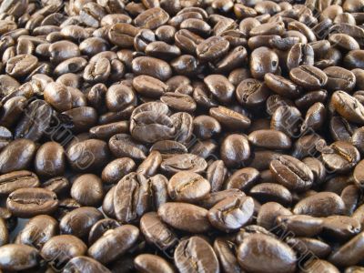 coffee beans